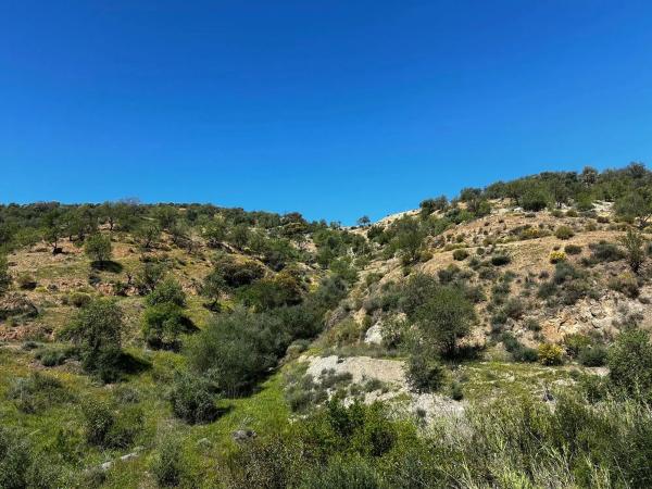 Terreno en Guaro Viejo, 2