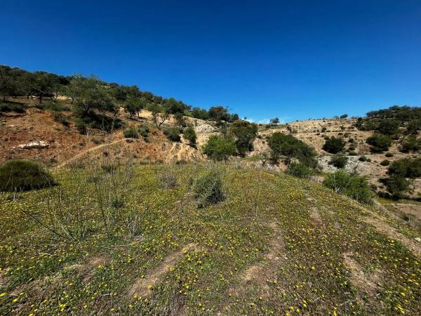 Terreno en Guaro Viejo, 2