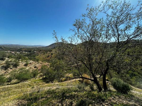 Terreno en Guaro Viejo, 2