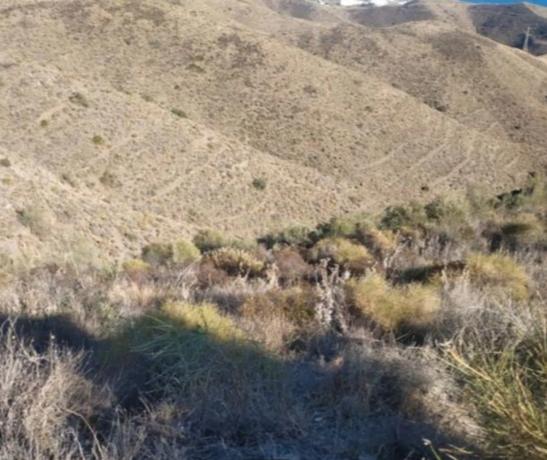 Terreno en Sector unp s/n