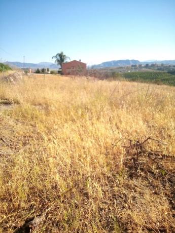 Terreno en sierra gorda s/n