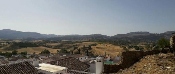 Terreno en calle Cerrillo, 2