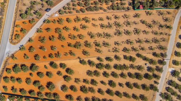 Terreno en Lugar el Quinto, 8