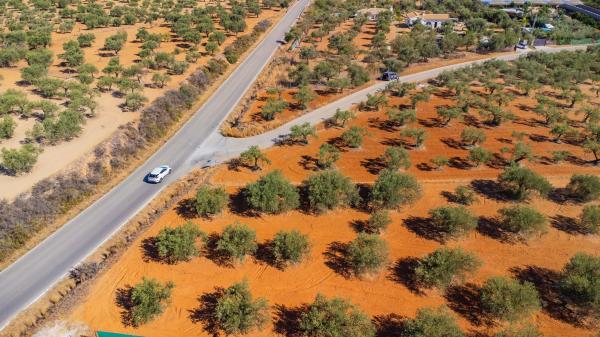 Terreno en Lugar el Quinto, 8