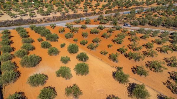 Terreno en Lugar el Quinto, 8