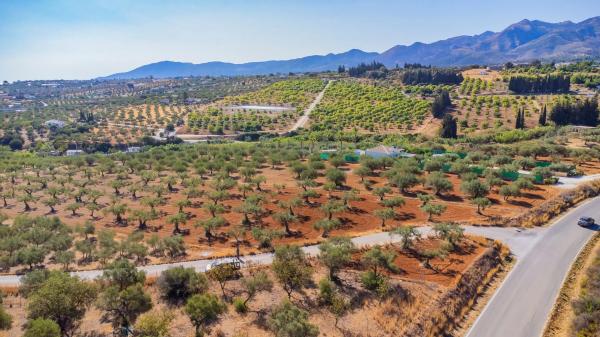 Terreno en Lugar el Quinto, 8