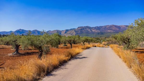 Terreno en Lugar el Quinto, 8