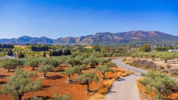 Terreno en Lugar el Quinto, 8