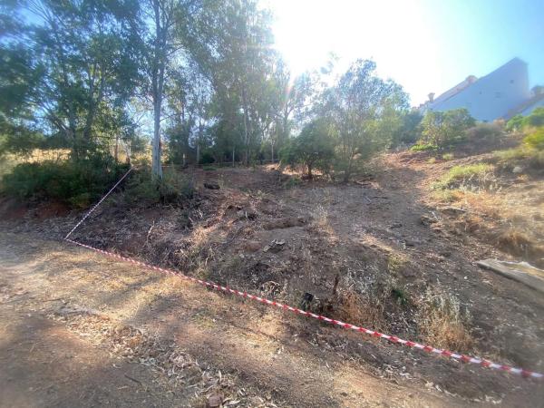 Terreno en calle Caracas, 4