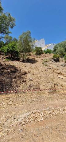 Terreno en calle Caracas, 4