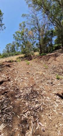Terreno en calle Caracas, 4