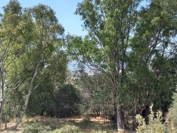 Terreno en Urbanización Lomas de Mijas