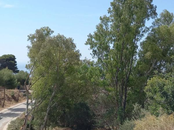 Terreno en Urbanización Lomas de Mijas
