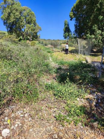 Terreno en Lugar Cantarrana