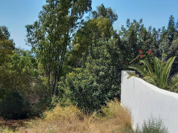 Terreno en Urbanización Lomas de Mijas