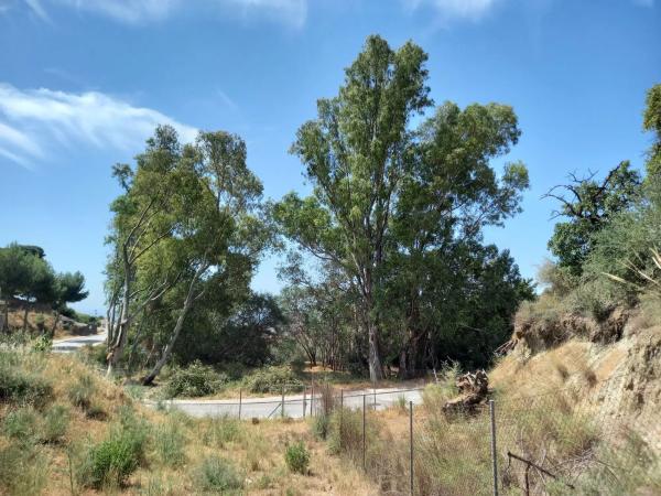 Terreno en Urbanización Lomas de Mijas