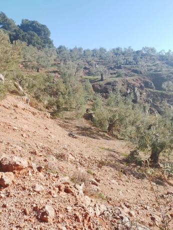 Terreno en camino de la Cueva del Agua s/n