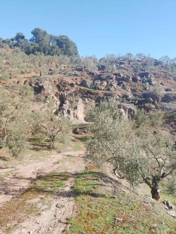 Terreno en camino de la Cueva del Agua s/n