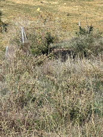 Terreno en calle Taraje