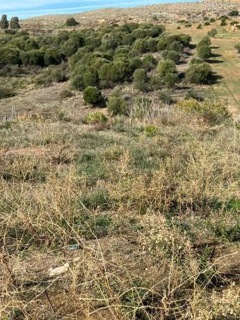 Terreno en calle Taraje