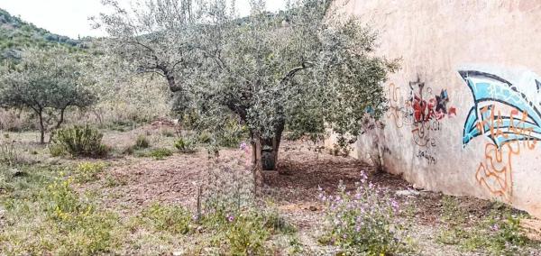 Terreno en calle Arroyo de los Membrillos, 5