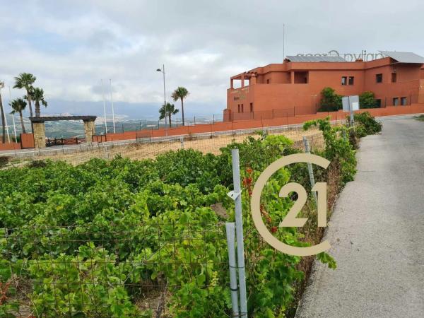 Terreno en camino del Peñoncillo, 44