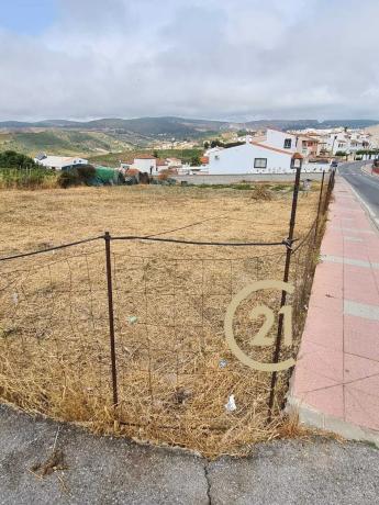Terreno en camino del Peñoncillo, 44