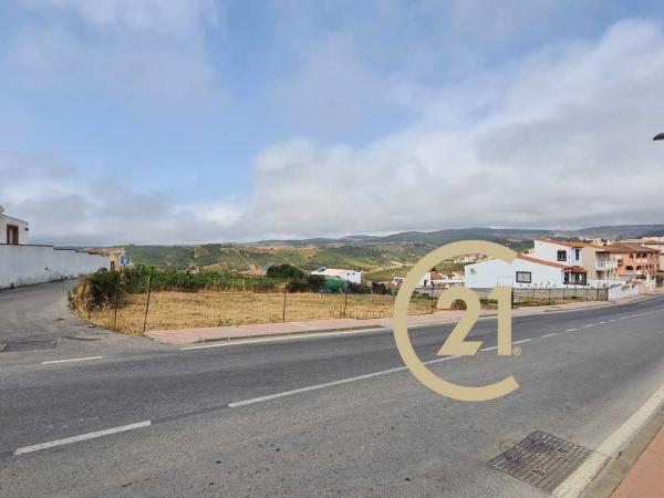 Terreno en camino del Peñoncillo, 44