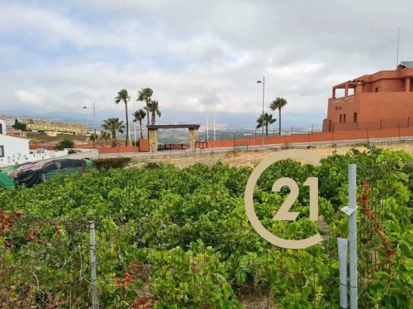 Terreno en camino del Peñoncillo, 44