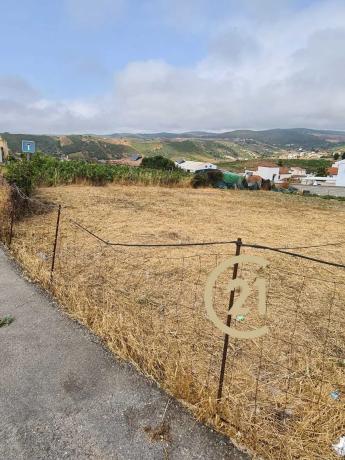 Terreno en camino del Peñoncillo, 44