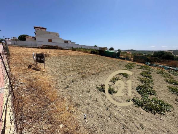 Terreno en camino del Peñoncillo, 44