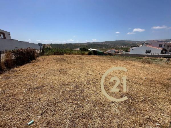 Terreno en camino del Peñoncillo, 44