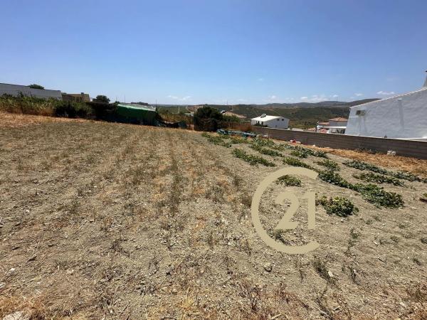 Terreno en camino del Peñoncillo, 44