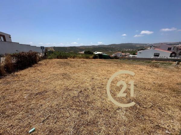 Terreno en camino del Peñoncillo, 44