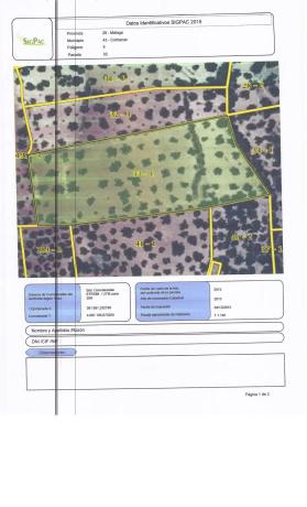 Terreno en camino de Ríogordo s/n AntiguaCarreteraRiogordo