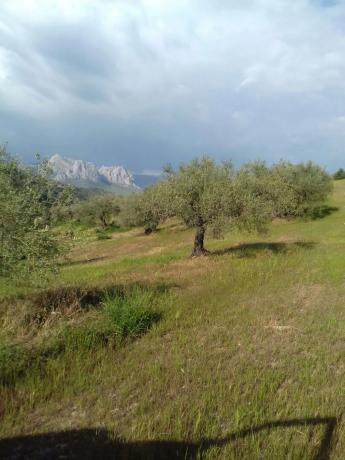 Terreno en camino de Ríogordo s/n AntiguaCarreteraRiogordo