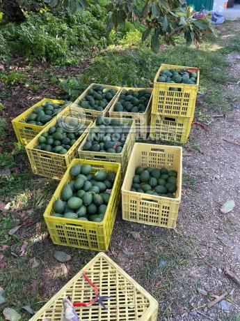 Terreno en Almayate Bajo