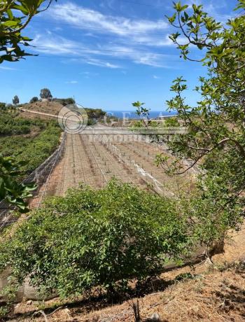 Terreno en Almayate Bajo