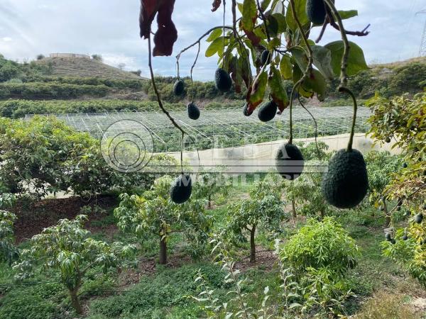 Terreno en Almayate Bajo