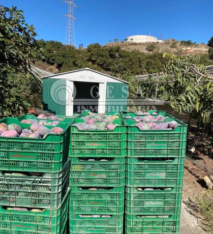 Terreno en Almayate Bajo