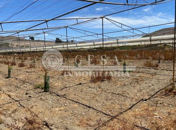 Terreno en Almayate Bajo