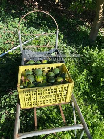 Terreno en Almayate Bajo