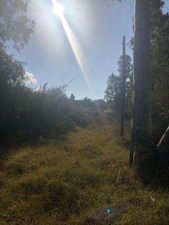 Terreno en Barrio Guadalmina Alta