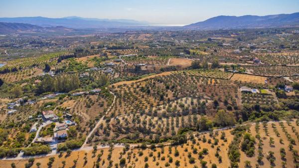 Terreno en Partida Monte Piedad, 33