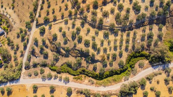 Terreno en Partida Monte Piedad, 33