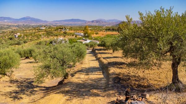 Terreno en Partida Monte Piedad, 33