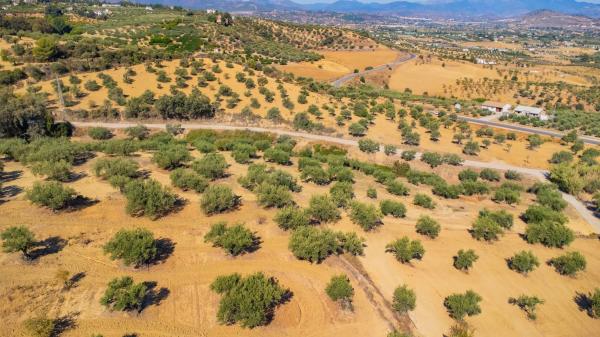 Terreno en Partida Monte Piedad, 33