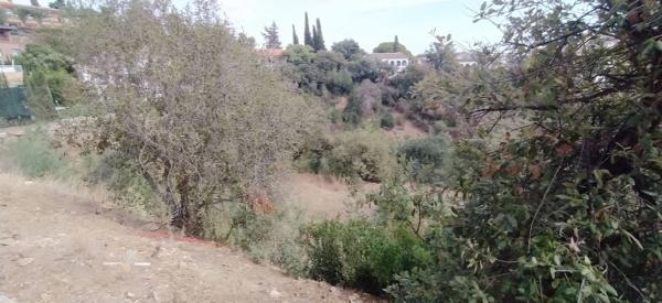 Terreno en paseo de Francia