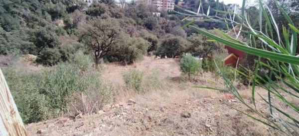 Terreno en paseo de Francia