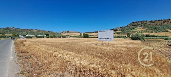 Terreno en ronda Campillos